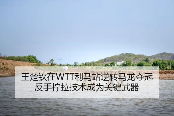 wang-chu-qin-zai-li-ma-zhan-ni-zhuan-ma-long-duo-guan-fan-shou-ning-la-ji-shu-cheng-wei-guan-jian-wu-qi-2-332.jpg